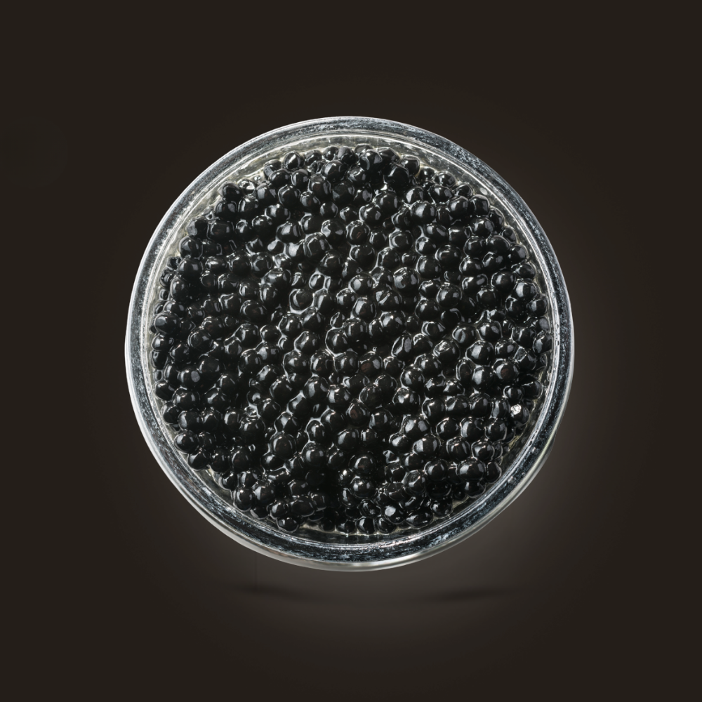 Caviar Mujjol Shikrán Preto 100gr