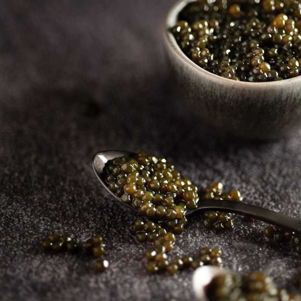 Caviar Extrato De Esturjão Branco 100g